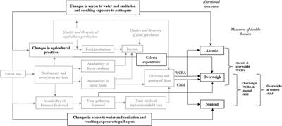 Deforestation and Household- and Individual-Level Double Burden of Malnutrition in Sub-saharan Africa